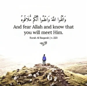 And fear Allah and know that you will meet him