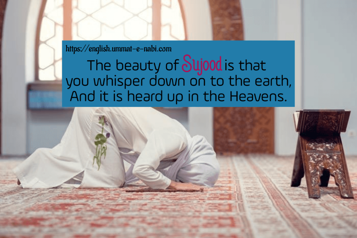 The Beauty of Sujood: A Spiritual Connection in Light of Quran and Sunnah