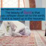 The beauty of Sujood is that you whisper down on to the earth, And it is heard up in the Heavens.