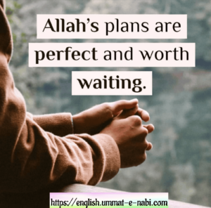 Allah's plans are Perfect and worth waiting.