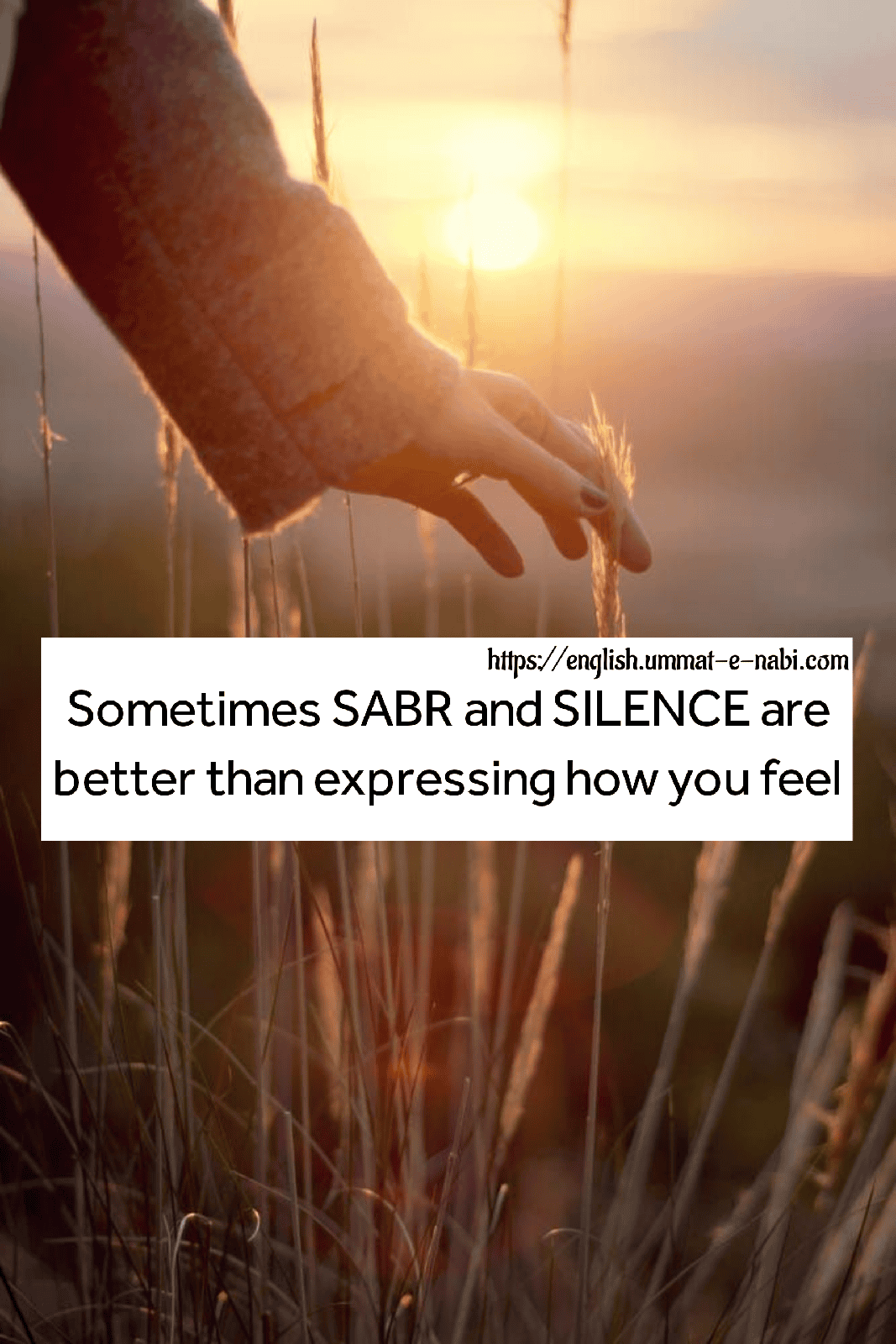 SILENCE Are Better Than Expressing How You Feel Silence Sabr Quotes 