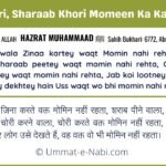 Zinaa, Chori, Sharaab Khori Momeen Ka Kaam Nahi Hadees