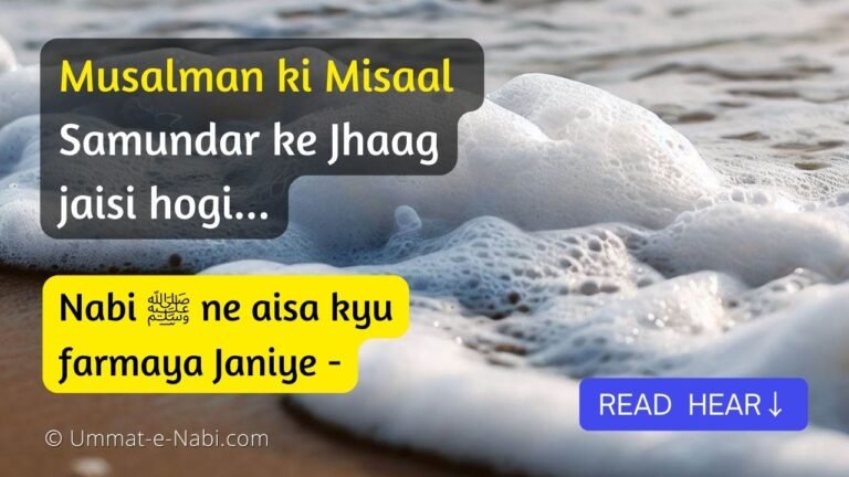 Musalman ki Misaal Samundar ke Jhaag jaisi hogi