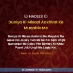 Duniya ki Misaal Aakhirat ke Muqable me