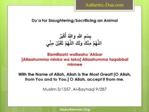 Qurbani ki Dua for slaughtering sacrificing an animal