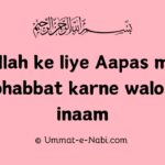 Allah ke liye Aapas me Mohabbat