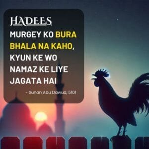 Murgey ko bura bhala na kaho Hadees