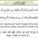 Raste se Taqleef ki cheeze Door karna bhi Sadqa hai Hadees