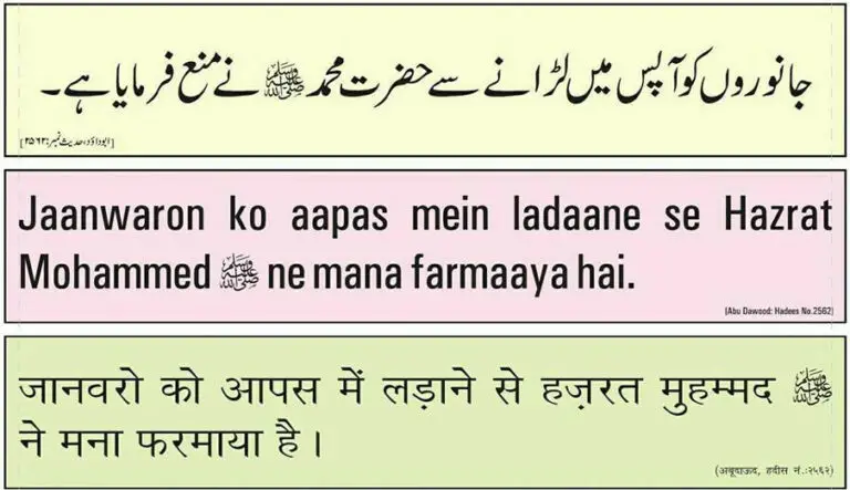 Hadees: RasoolAllah (ﷺ) ne janwaron ko aapas me ladane se mana farmaya hai