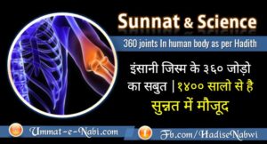 360-joints-In-human-body-as-per-Hadith