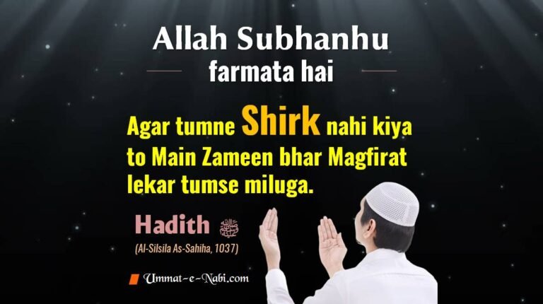 Allah Subhanahu farmata hai 'agar tumne Shirk nahi kiya to Main Zameen bhar Magfirat lekar tumse miluga'