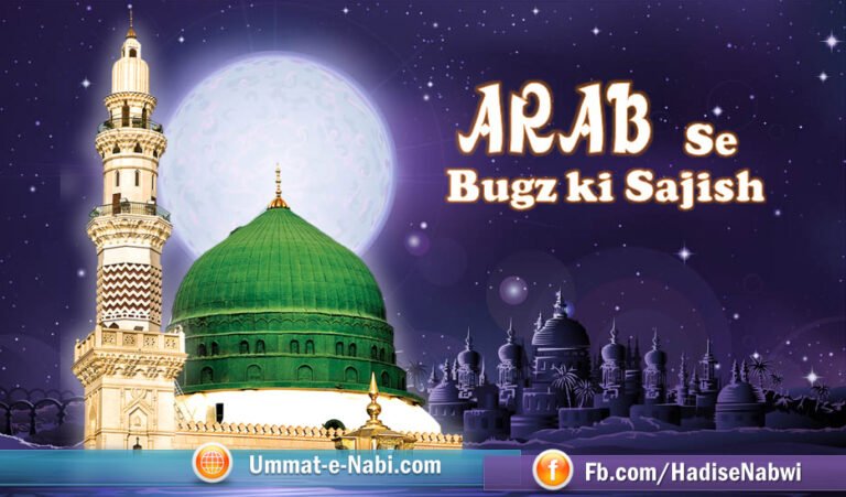 Arab-Se-Bugz-ki-Sajish