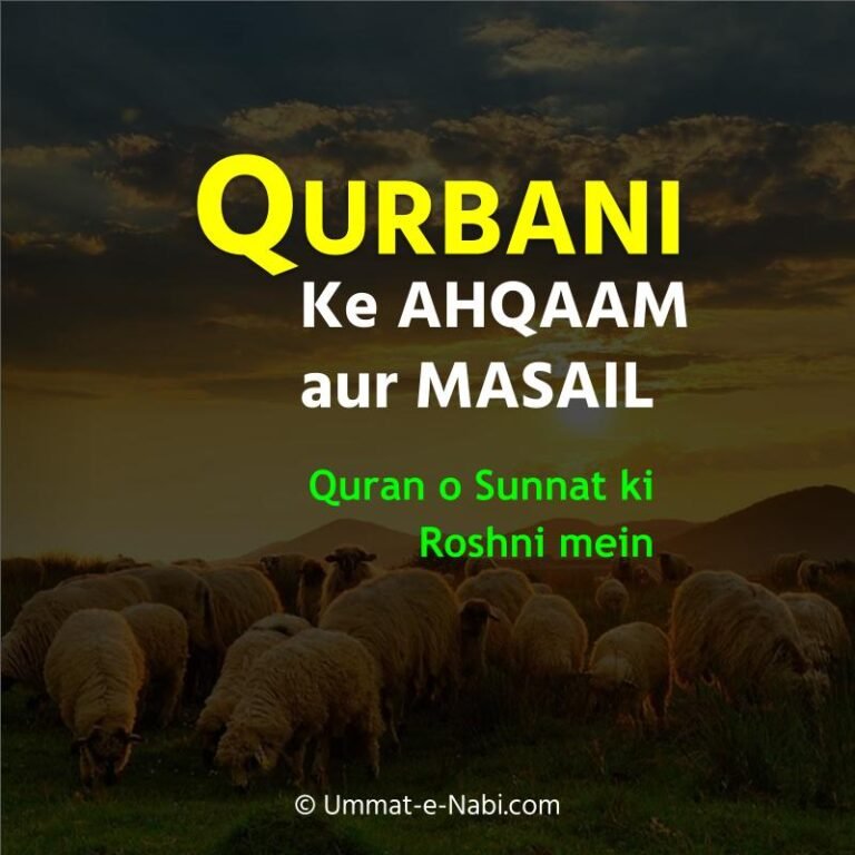 Qurbani ke Ahkaam o Masaail