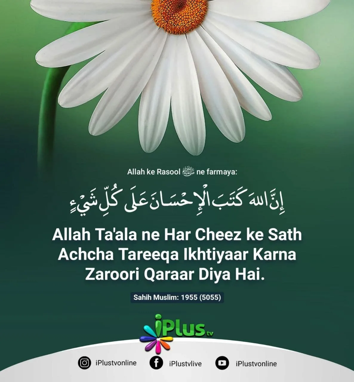 Har cheez ke Sath Accha tareeka ikhteyar kare