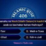 islamic quizc406 image